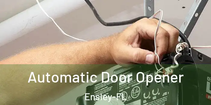  Automatic Door Opener Ensley-FL
