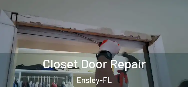  Closet Door Repair Ensley-FL