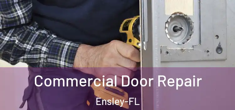 Commercial Door Repair Ensley-FL