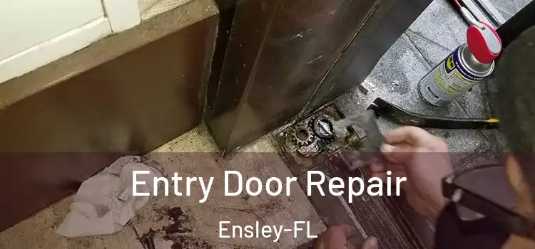  Entry Door Repair Ensley-FL