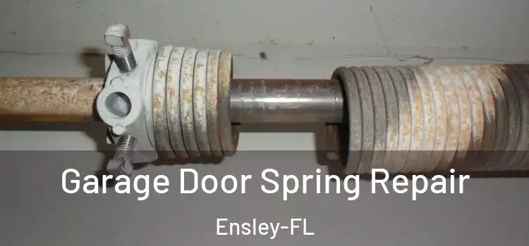  Garage Door Spring Repair Ensley-FL