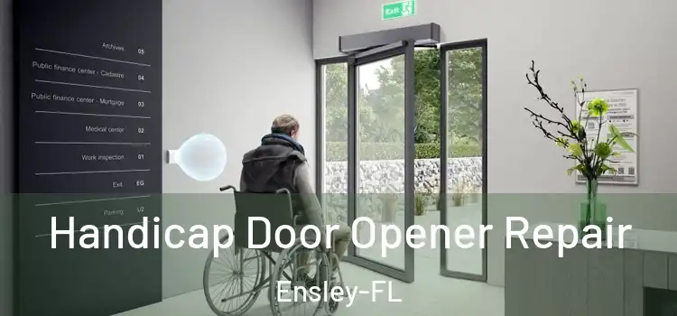  Handicap Door Opener Repair Ensley-FL