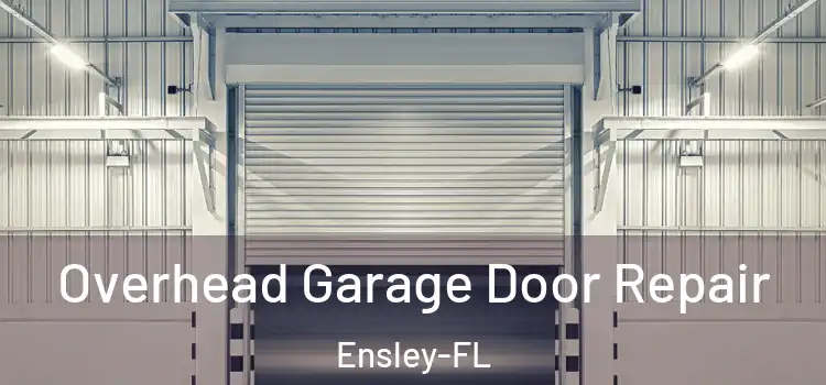  Overhead Garage Door Repair Ensley-FL