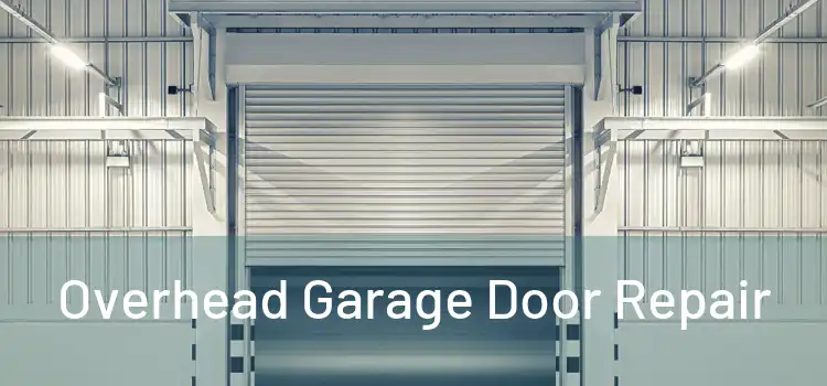  Overhead Garage Door Repair 