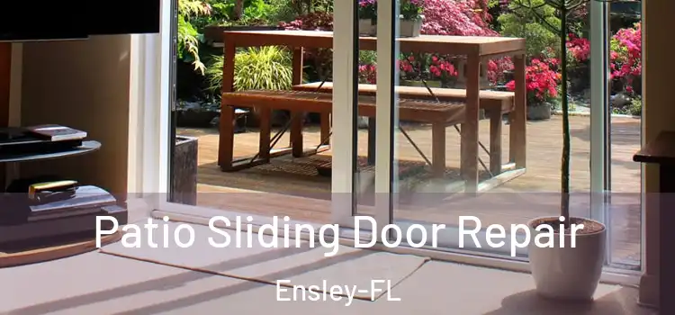  Patio Sliding Door Repair Ensley-FL