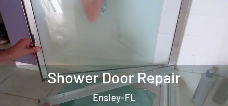  Shower Door Repair Ensley-FL