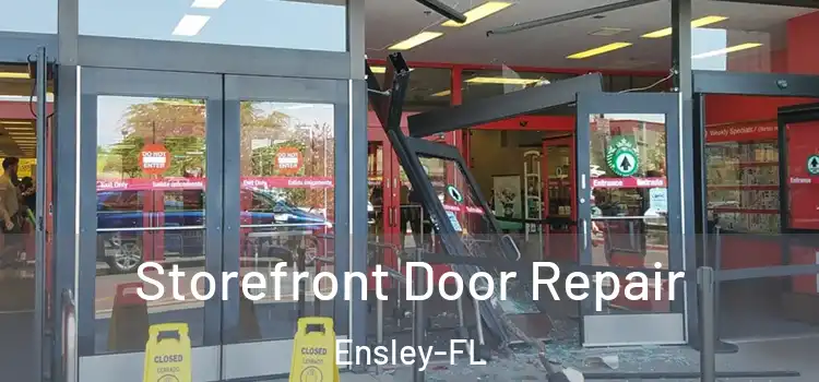  Storefront Door Repair Ensley-FL